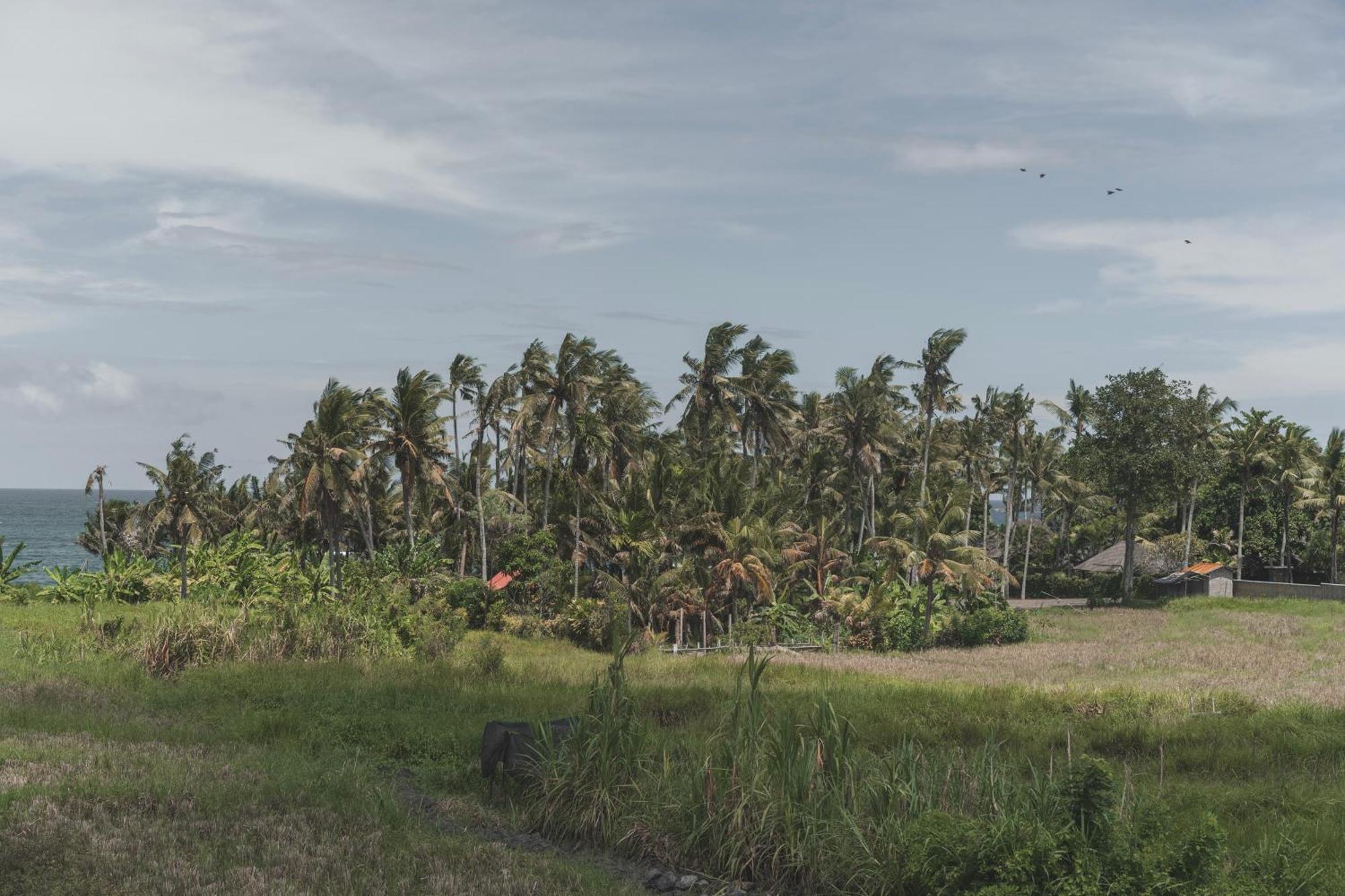 Dune Seseh Munggu المظهر الخارجي الصورة
